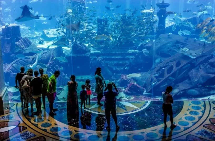 Аквапарк Atlantis Aquaventure & Lost Chambers Aquarium - Image 2