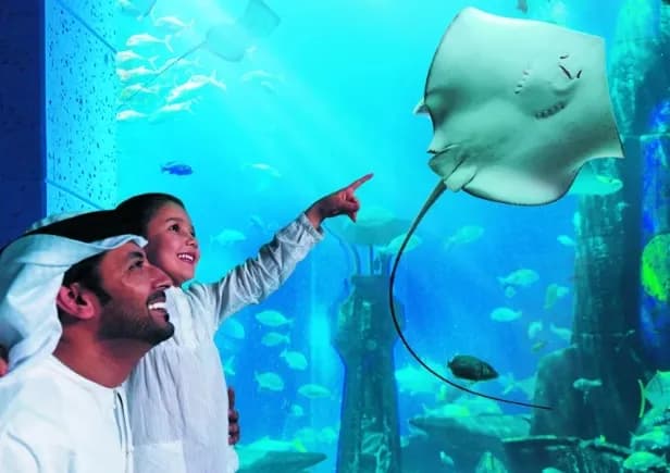Аквапарк Atlantis Aquaventure & Lost Chambers Aquarium - Image 7